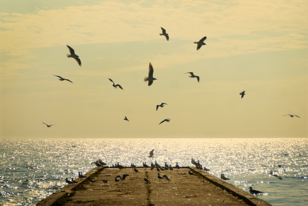 Free-economy Quotes of the month